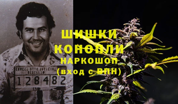 мет Протвино